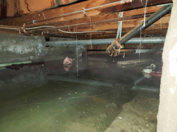 Oak Ridge, NC Water damage restoration Company