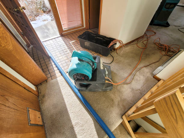 Best Professional water damage repair  in Oak Ridge, NC