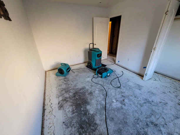Best Water damage cleanup near me  in Oak Ridge, NC