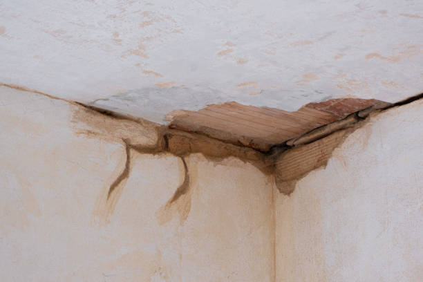Best Water damage cleanup near me  in Oak Ridge, NC
