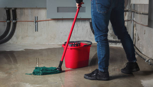 Best Local water damage restoration  in Oak Ridge, NC