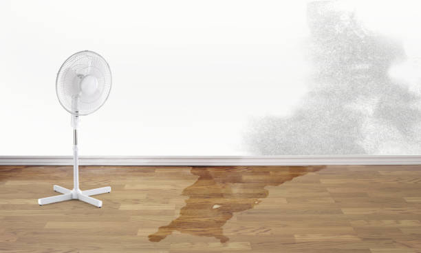 Best Carpet water damage restoration  in Oak Ridge, NC