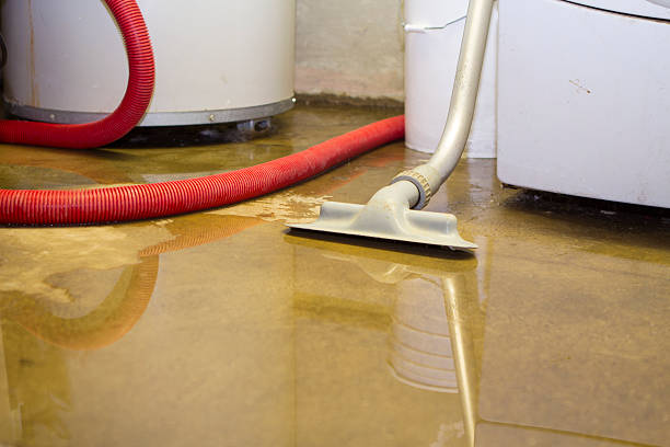 Best Water damage restoration near me  in Oak Ridge, NC