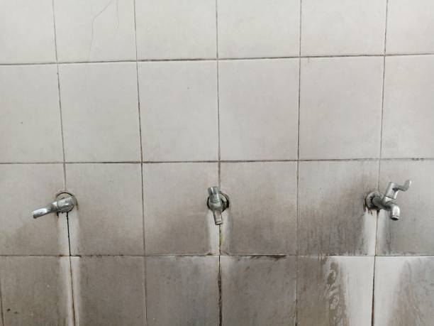 Best 24-hour water damage restoration  in Oak Ridge, NC