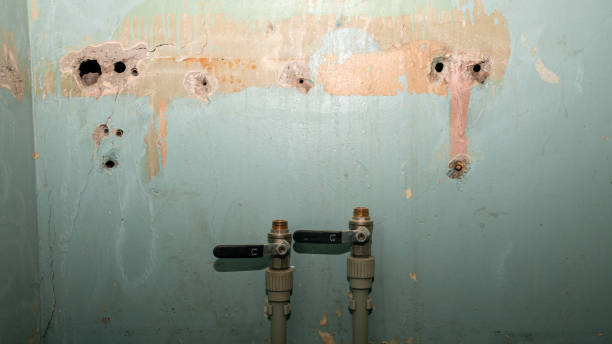 Best Local water damage restoration  in Oak Ridge, NC