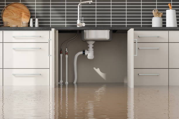 Best Water damage contractors near me  in Oak Ridge, NC