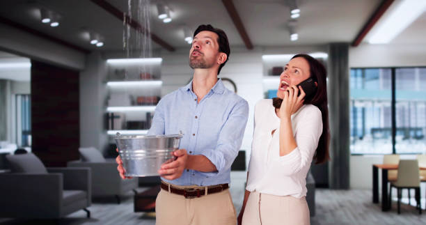 Best Commercial water damage restoration  in Oak Ridge, NC