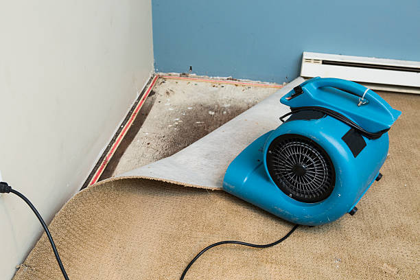 Best Water damage restoration near me  in Oak Ridge, NC
